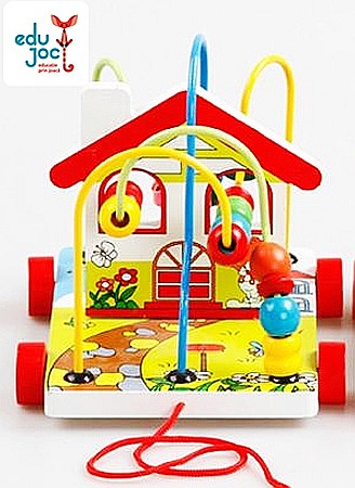 Labirint motric Casuta