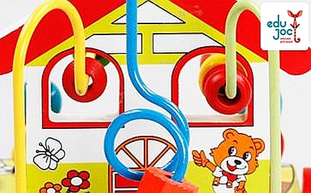 Labirint motric Casuta [1]