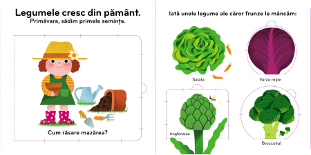 Legumele. Carte cu ilustrații [1]