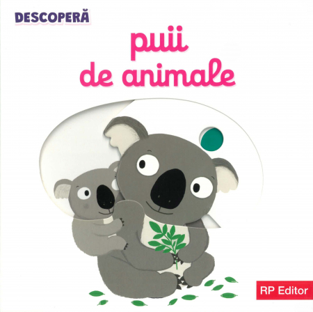 Noutăți - pui de animale