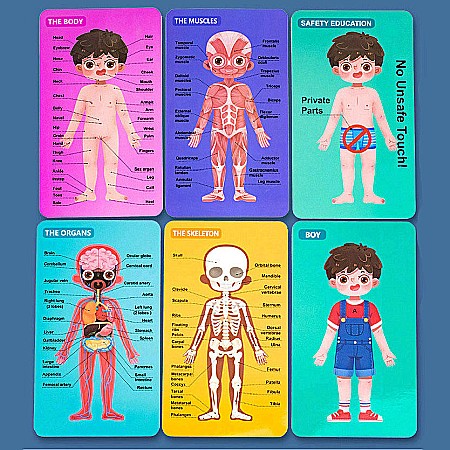 Puzzle corpul uman Băiat in limba rusa [2]