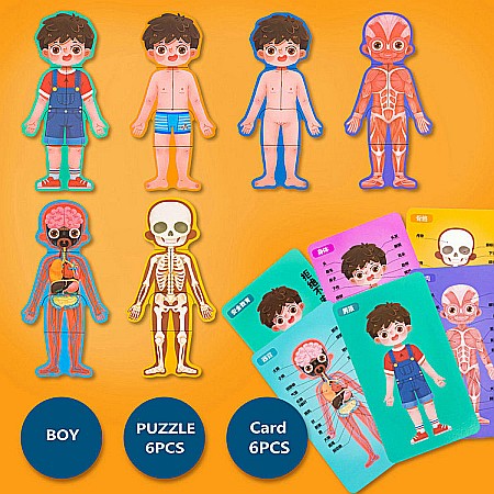 Puzzle corpul uman Băiat in limba rusa [5]