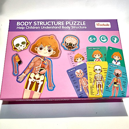 Puzzle corpul uman Fată/baiat in engleza [3]