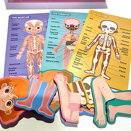 Puzzle corpul uman Fată/baiat in engleza [1]