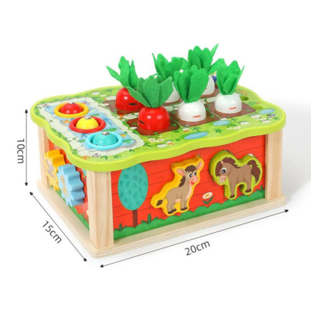 Sortator 4 în 1 [1]