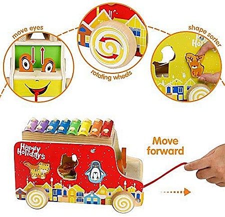 Sortator Camion 3 în 1 [3]