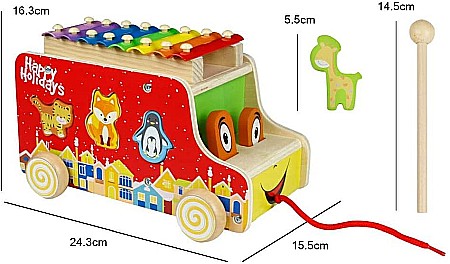 Sortator Camion 3 în 1 [2]