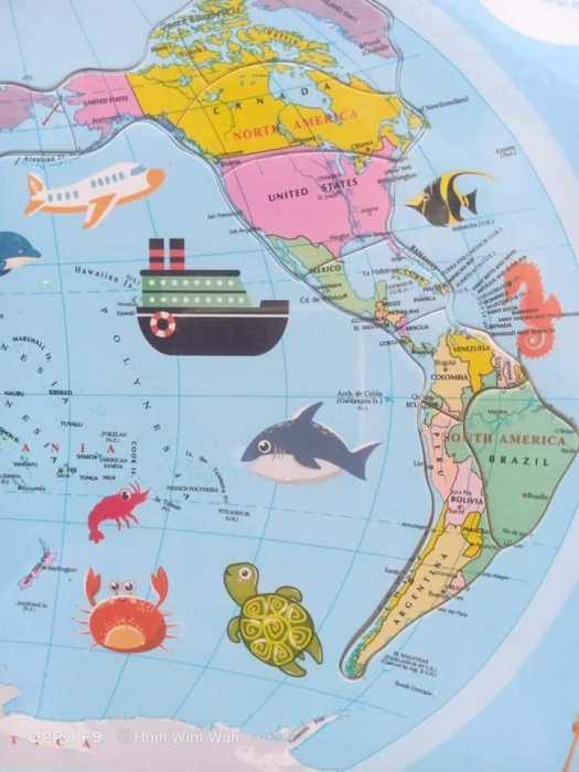 Puzzle educativ  din  lemn harta lumii, 27 piese, 3 ani+, EduJucarii [3]