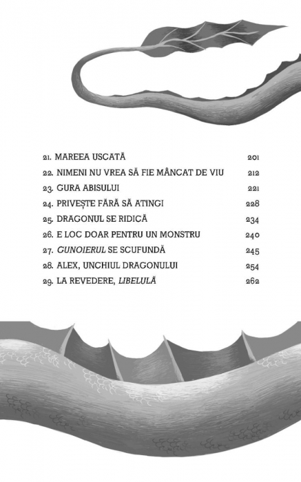 Alex Neptun si vanatoarea de pirați (Usborne) [8]
