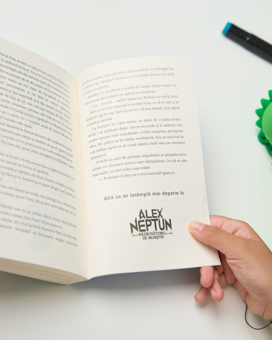 Alex Neptun si vanatoarea de pirați (Usborne) [3]