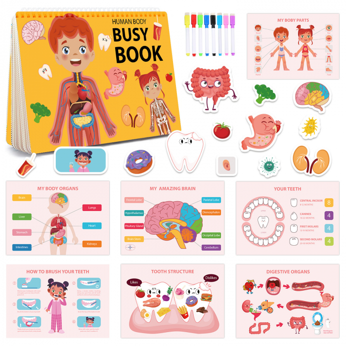 Carte interactiva si educativa pentru copii, Busy Book Corpul Uman, 30 pagini activitati multiple, autocolante, Limba Engleza, 3 ani+, EduJucarii [1]