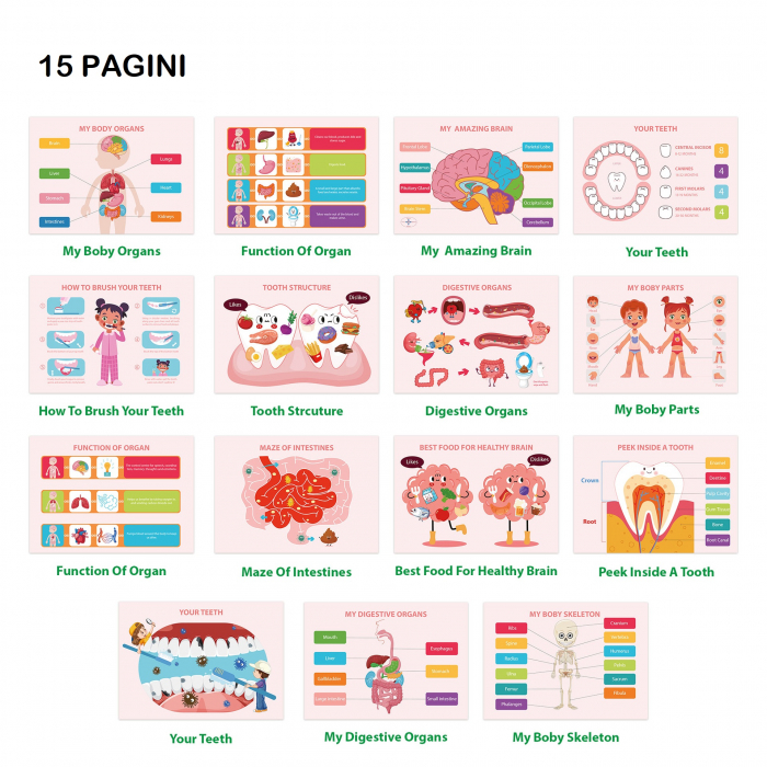 Carte interactiva si educativa pentru copii, Busy Book Corpul Uman, 30 pagini activitati multiple, autocolante, Limba Engleza, 3 ani+, EduJucarii [2]