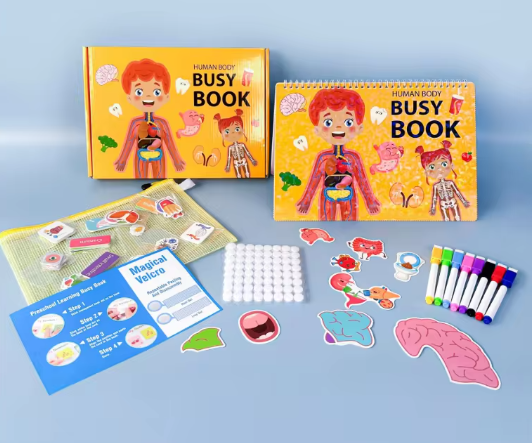 Carte interactiva si educativa pentru copii, Busy Book Corpul Uman, 30 pagini activitati multiple, autocolante, Limba Engleza, 3 ani+, EduJucarii [5]