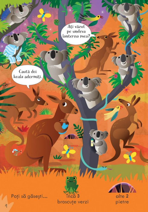 Cauta si gaseste. In timpul noptii(Usborne) [4]