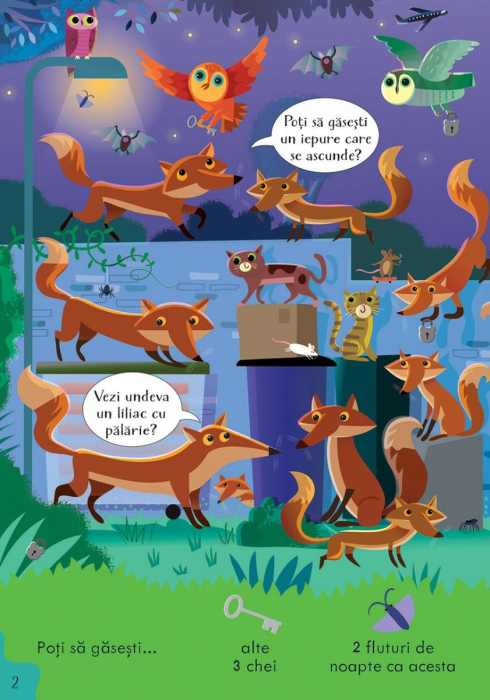 Cauta si gaseste. In timpul noptii(Usborne) [2]