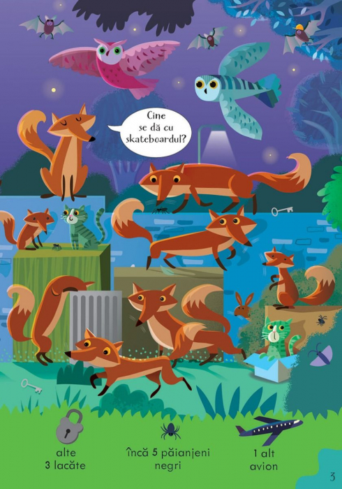 Cauta si gaseste. In timpul noptii(Usborne) [3]