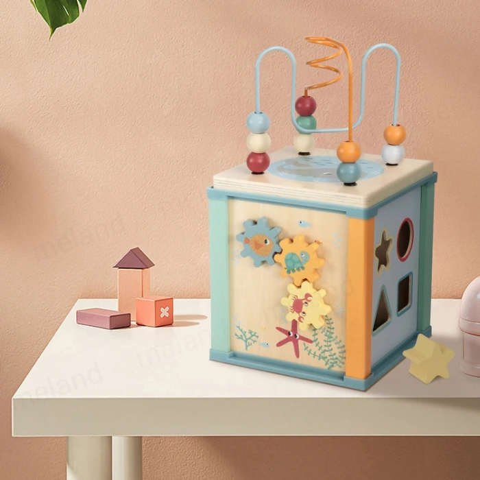 Centru din lemn educativ Montessori, Cub activitati bebelusi 5 in 1, Ocean, 1 an + [12]