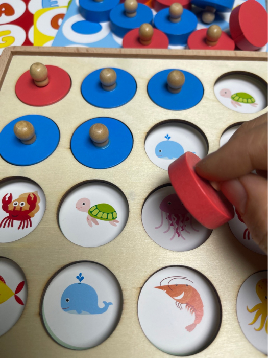Joc educativ de memorie  si asociere „Multi Function Memory Chess”, 3 ani+, EduJucarii [8]