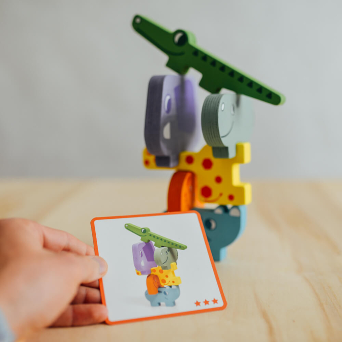 Joc educativ Ze Totanimo, Djeco [9]