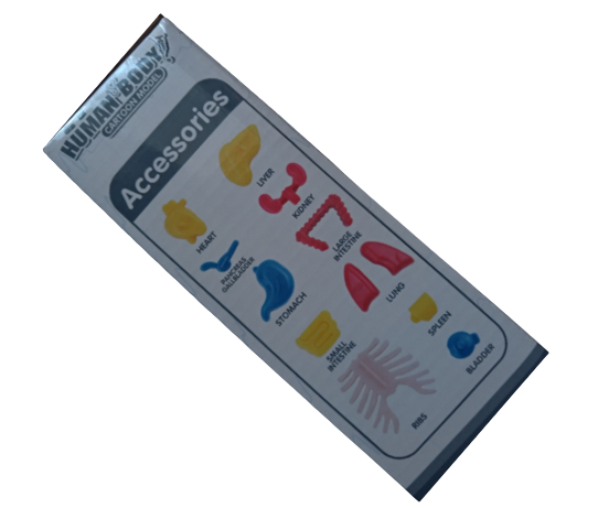 Jucarie educativa anatomia corpului uman, pentru copii de peste 3 ani [5]