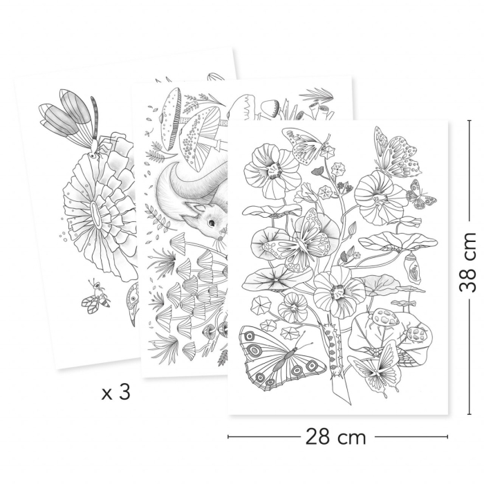 Mapa cu 3 postere de colorat Natura, Djeco [3]