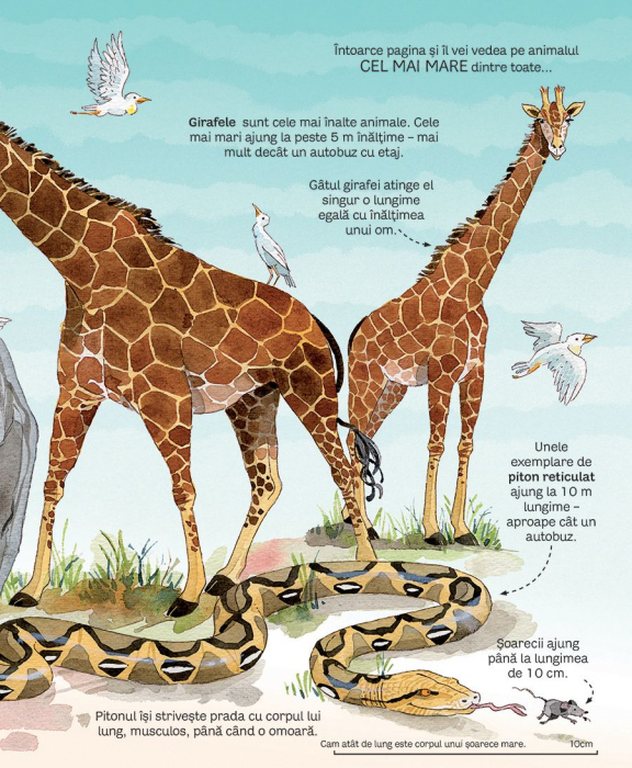 Marea carte a animalelor (Usborne) [3]