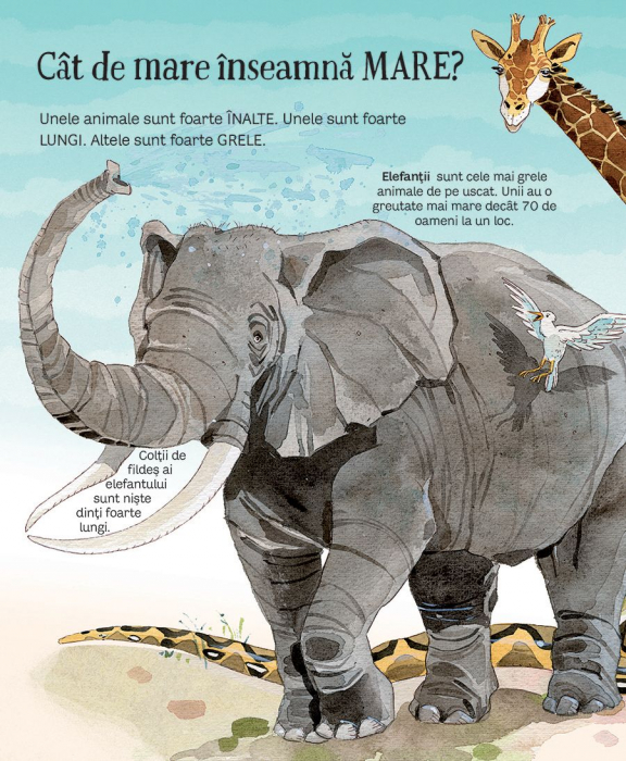 Marea carte a animalelor (Usborne) [2]