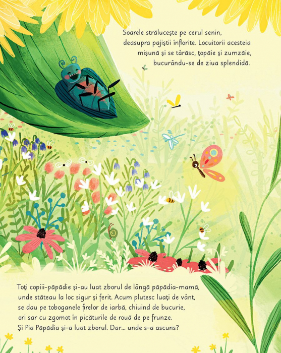 Pia Papadia. Oul misterios [2]