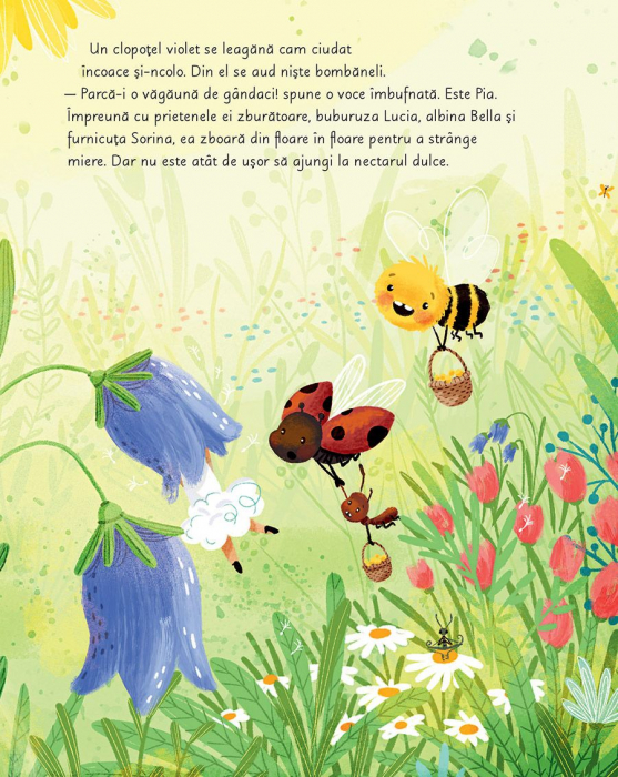 Pia Papadia. Oul misterios [3]