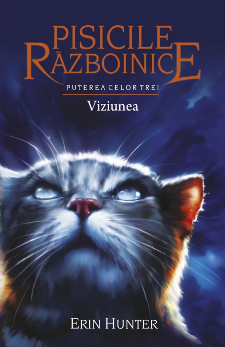 Pisicile Razboinice Vol.13: Puterea celor trei. Viziunea [3]