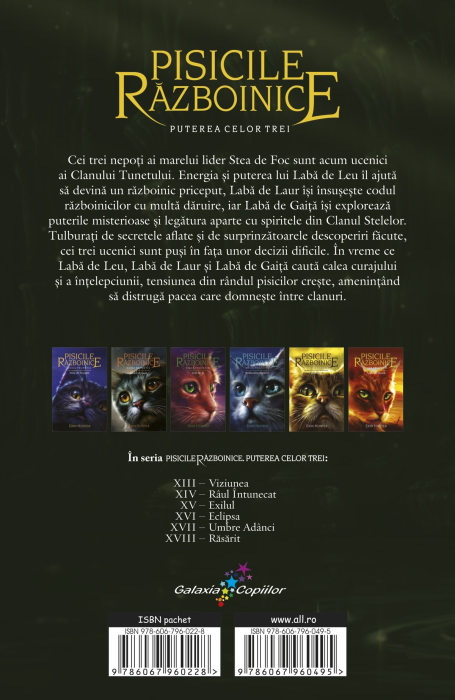 Pisicile Razboinice Vol.14: Puterea celor trei. Râul întunecat [2]