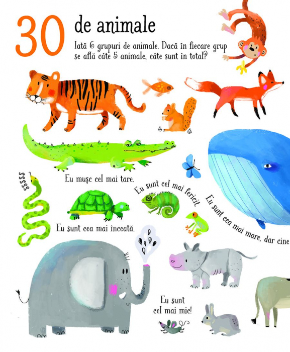 Numara pana la 100 (Usborne) [2]