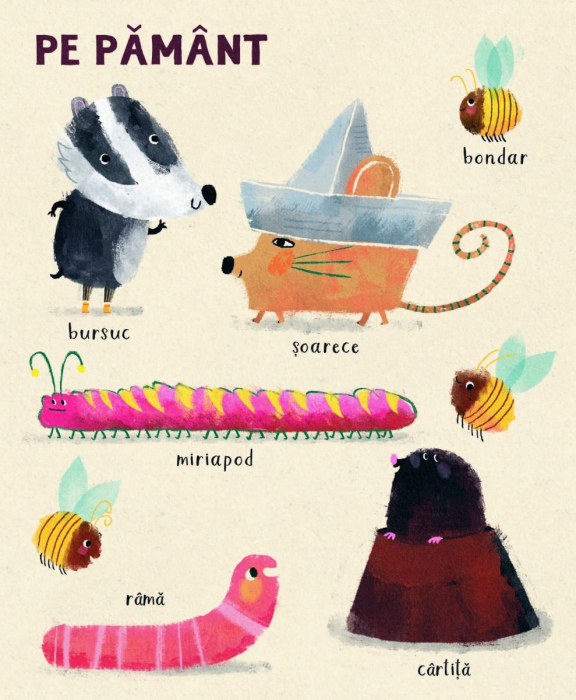 Primele mele animale, Anna Süßbauer [4]