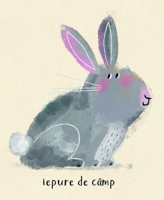 Primele mele animale, Anna Süßbauer [5]