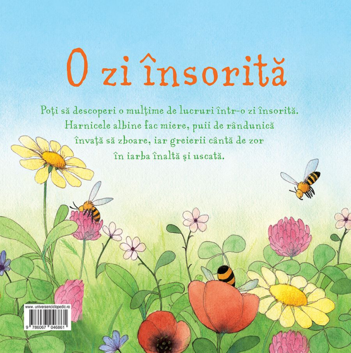 O zi insorita (Usborne) [5]