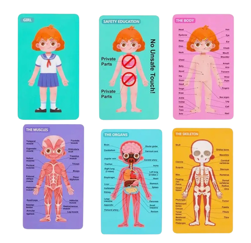 Puzzle educativ, Anatomia Corpului Uman, Limba Romana, Fata, 36 piese, 3 ani+, Edujucarii [9]