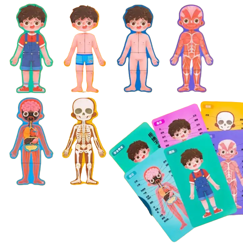 Puzzle educativ, Anatomia Corpului Uman, Limba Romana, Baiat, 36 piese, 3 ani+, Edujucarii [10]