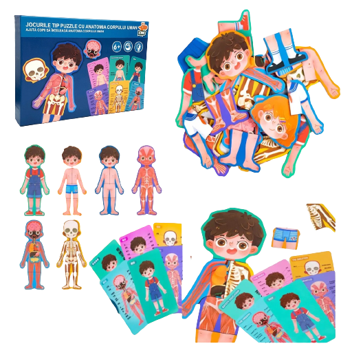 Puzzle educativ, Anatomia Corpului Uman, Limba Romana, Baiat, 36 piese, 3 ani+, Edujucarii [2]
