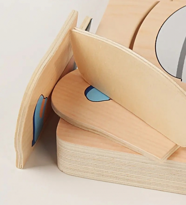 Puzzle Montessori din lemn cu 5 straturi, Invatati Despre Corpul Uman in Mod Interactiv, 17 piese, fetita, 3 ani+, EduJucarii [7]