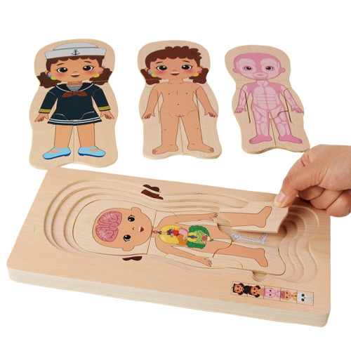 Puzzle Montessori din lemn cu 5 straturi, Invatati Despre Corpul Uman in Mod Interactiv, 17 piese, fetita, 3 ani+, EduJucarii [4]