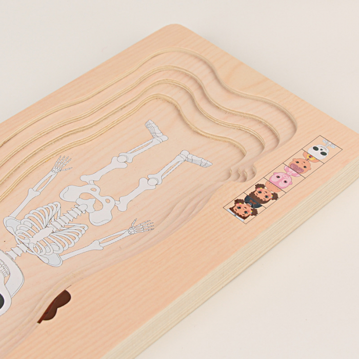 Puzzle Montessori din lemn cu 5 straturi, Invatati Despre Corpul Uman in Mod Interactiv, 17 piese, fetita, 3 ani+, EduJucarii [8]