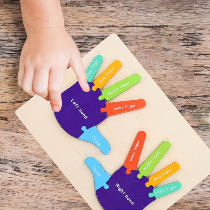 Puzzle Montessori, Mana Dreapta si Stanga, Instrument Educativ pentru Recunoasterea Lateralitatii, 3 ani+, EduJucarii [3]