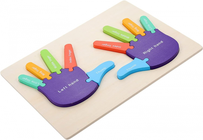 Puzzle Montessori, Mana Dreapta si Stanga, Instrument Educativ pentru Recunoasterea Lateralitatii, 3 ani+, EduJucarii [1]