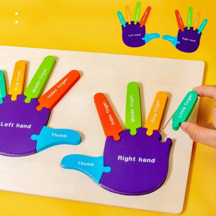 Puzzle Montessori, Mana Dreapta si Stanga, Instrument Educativ pentru Recunoasterea Lateralitatii, 3 ani+, EduJucarii [5]