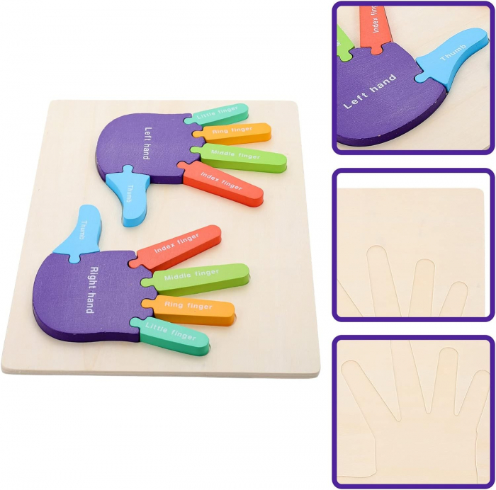 Puzzle Montessori, Mana Dreapta si Stanga, Instrument Educativ pentru Recunoasterea Lateralitatii, 3 ani+, EduJucarii [2]