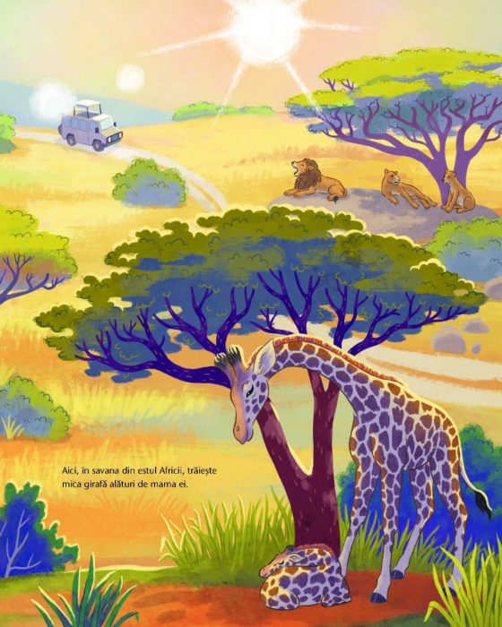 Mica girafa: Acasa, in savana [3]