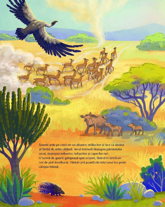 Mica girafa: Acasa, in savana [2]
