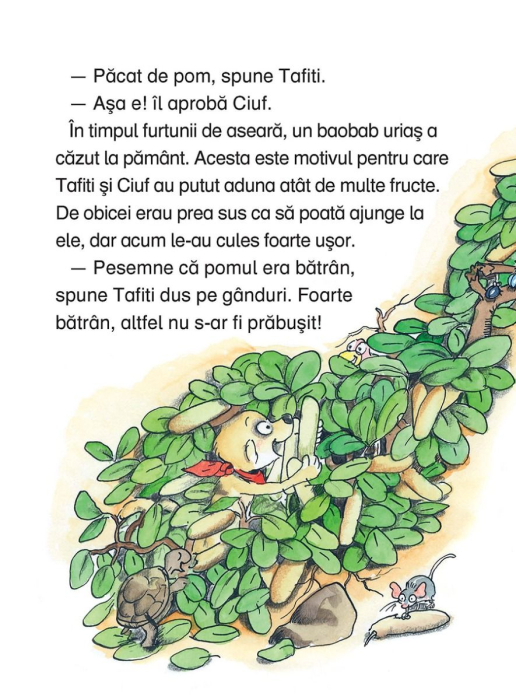 Tafiti si rinocerul furios [5]