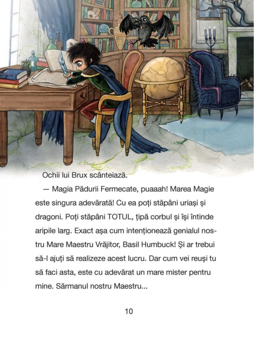 Ucenicul vrajitor. Blestemul Marelui Maestru Vrajitor,  Anna Taube [5]