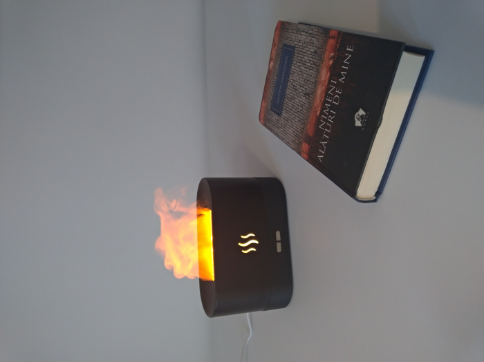 Umidificator de aer cu flacara. Difuzor led de cu uleiuri esentiale. Dispozitiv de producere de ceata rece cu ultrasunete [3]